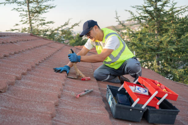 Best Affordable Roof Replacement  in Jackson, KY